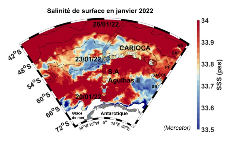 Carte de salinité de surface de la mer en janvier 2022, en utilisant un produit de réanalyse océanique (Mercator). 